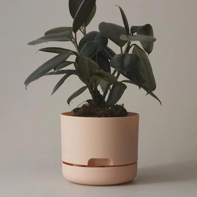 Mr. Kitly x Décor Self Watering Plant Pot 250mm Pale Apricot