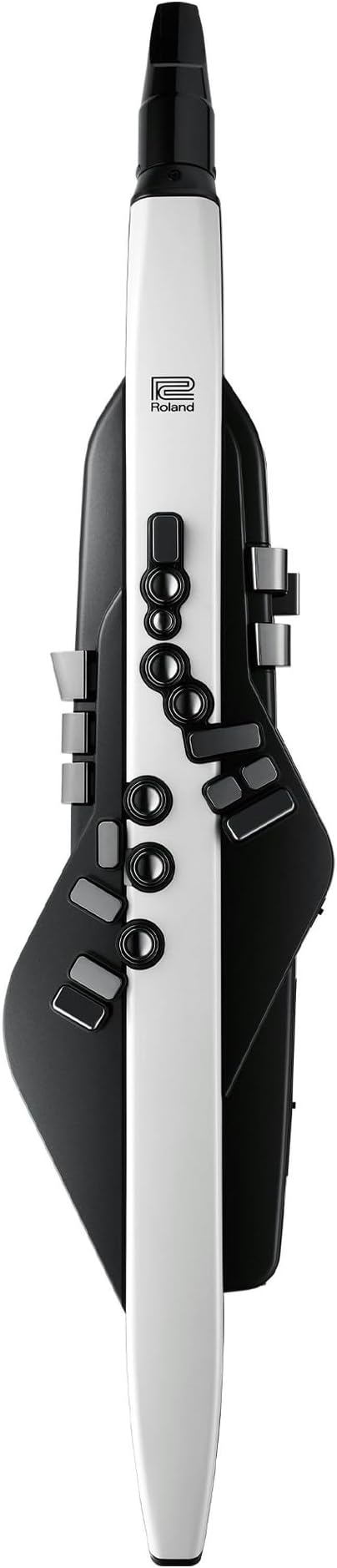 Roland AE20 Aerophone Digital Wind Instrument