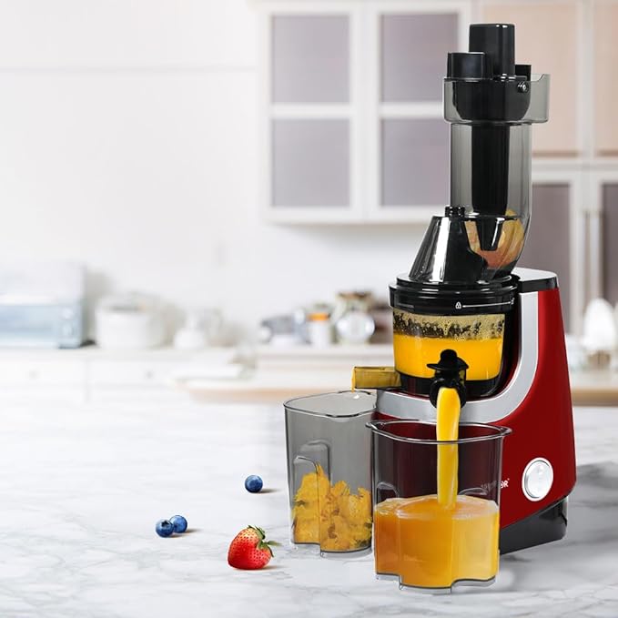 Spector Cold Press Slow Juicer Whole Fruit Juice Extractor Vegetable Processor