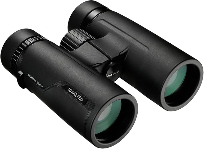 Olympus 10x42 Pro Binocular (Black)