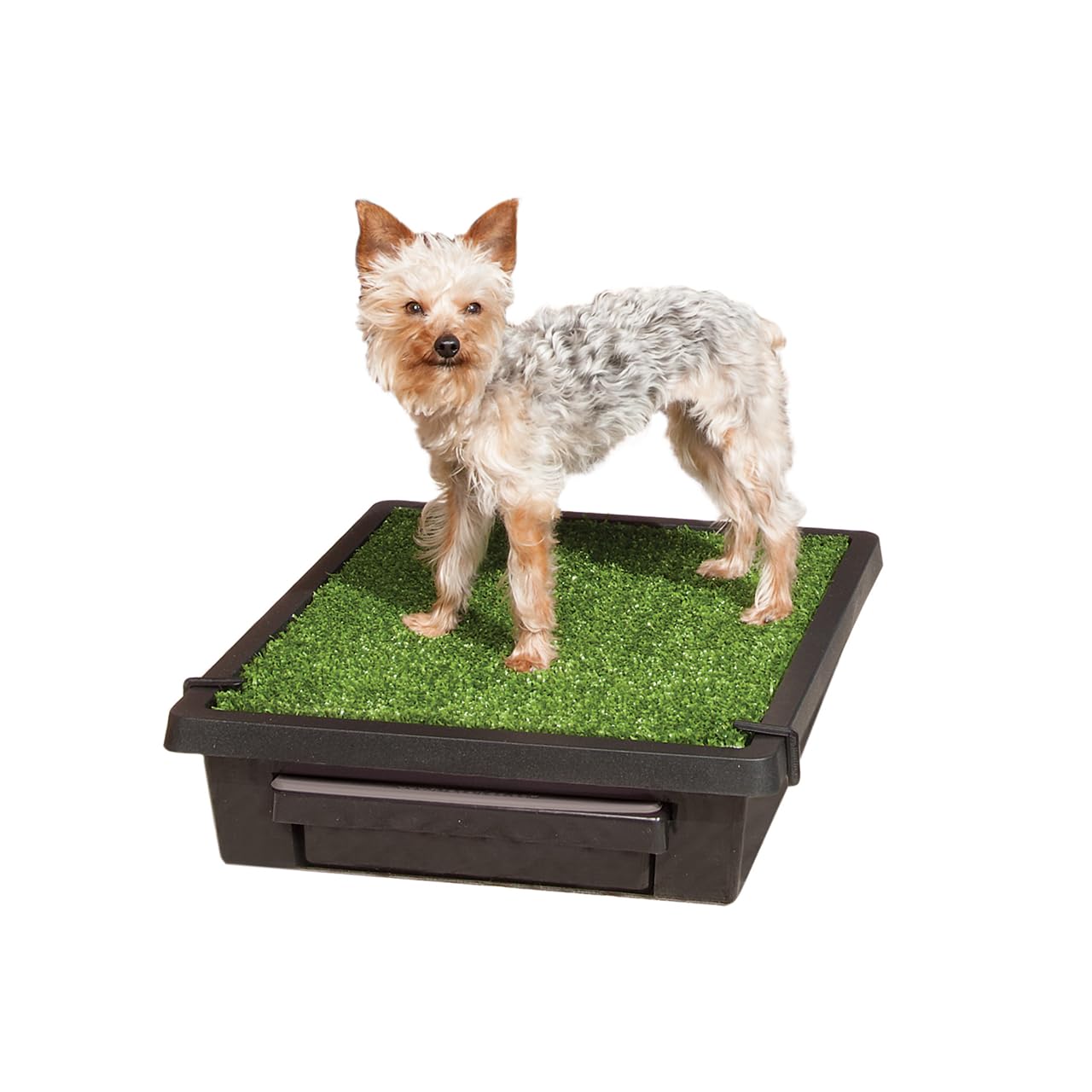 The Pet Loo - Small