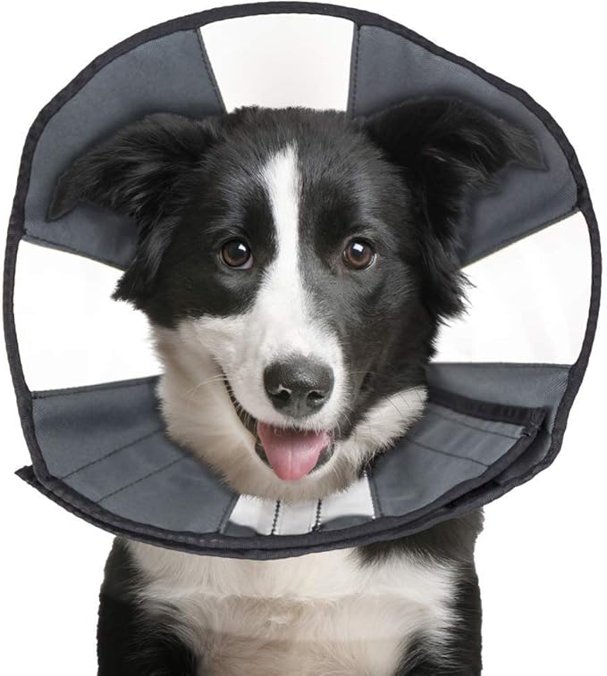 Zenpet Zen Cone Soft Recovery Collar For Dogs & Cats Large