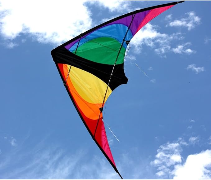 Twister Dual Control Kite | Windspeed Kites
