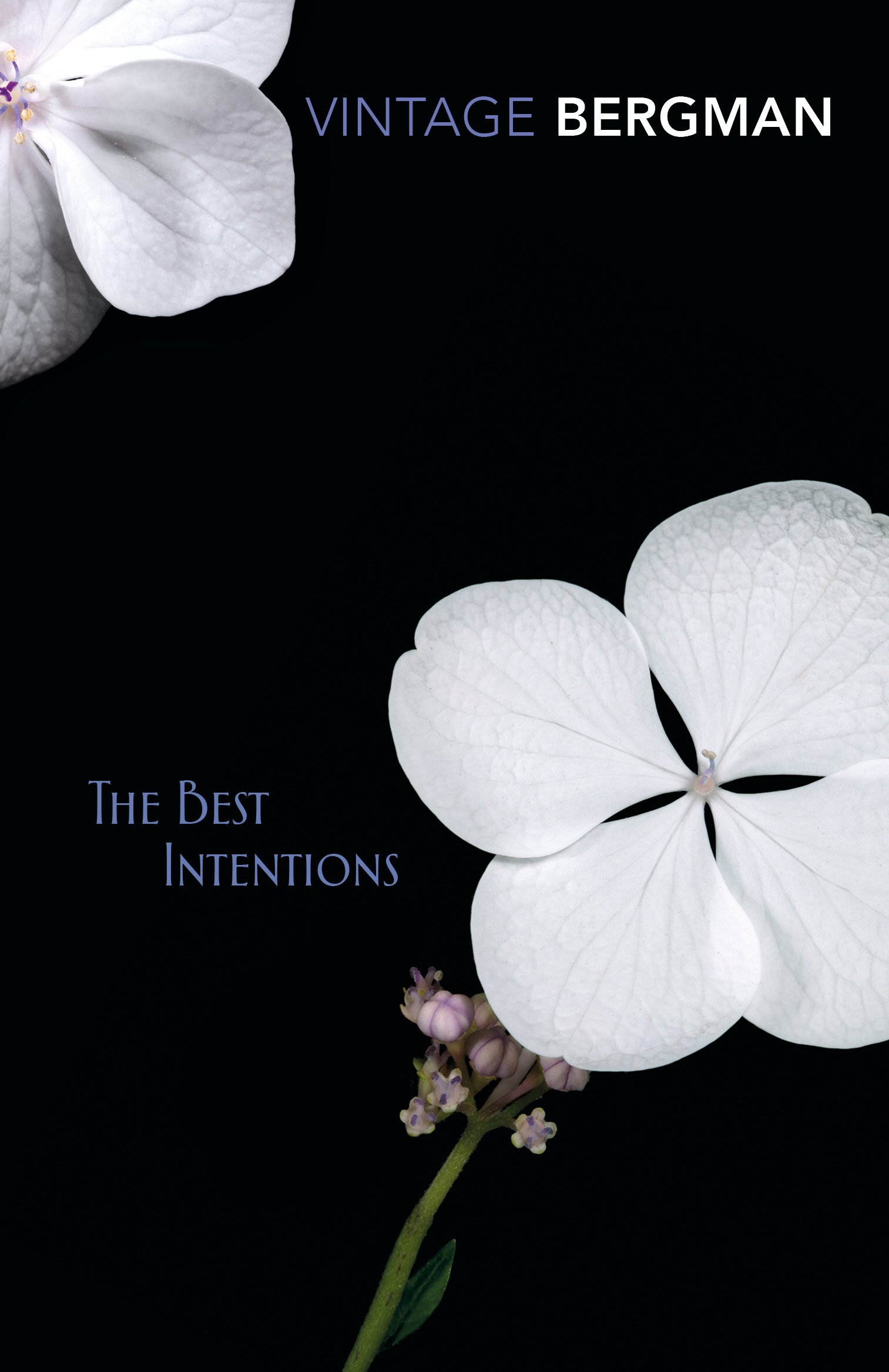 The Best Intentions by Ingmar Bergman (9781628729047)