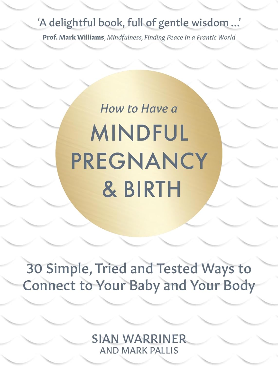 How to Have A Mindful Pregnancy and Birth by Sian Warriner