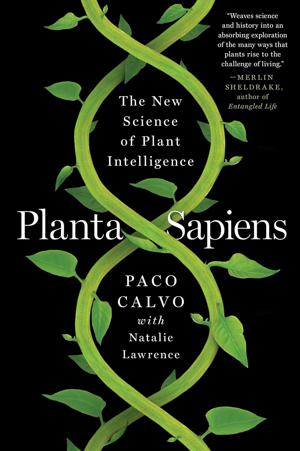 Planta Sapiens by Paco Calvo