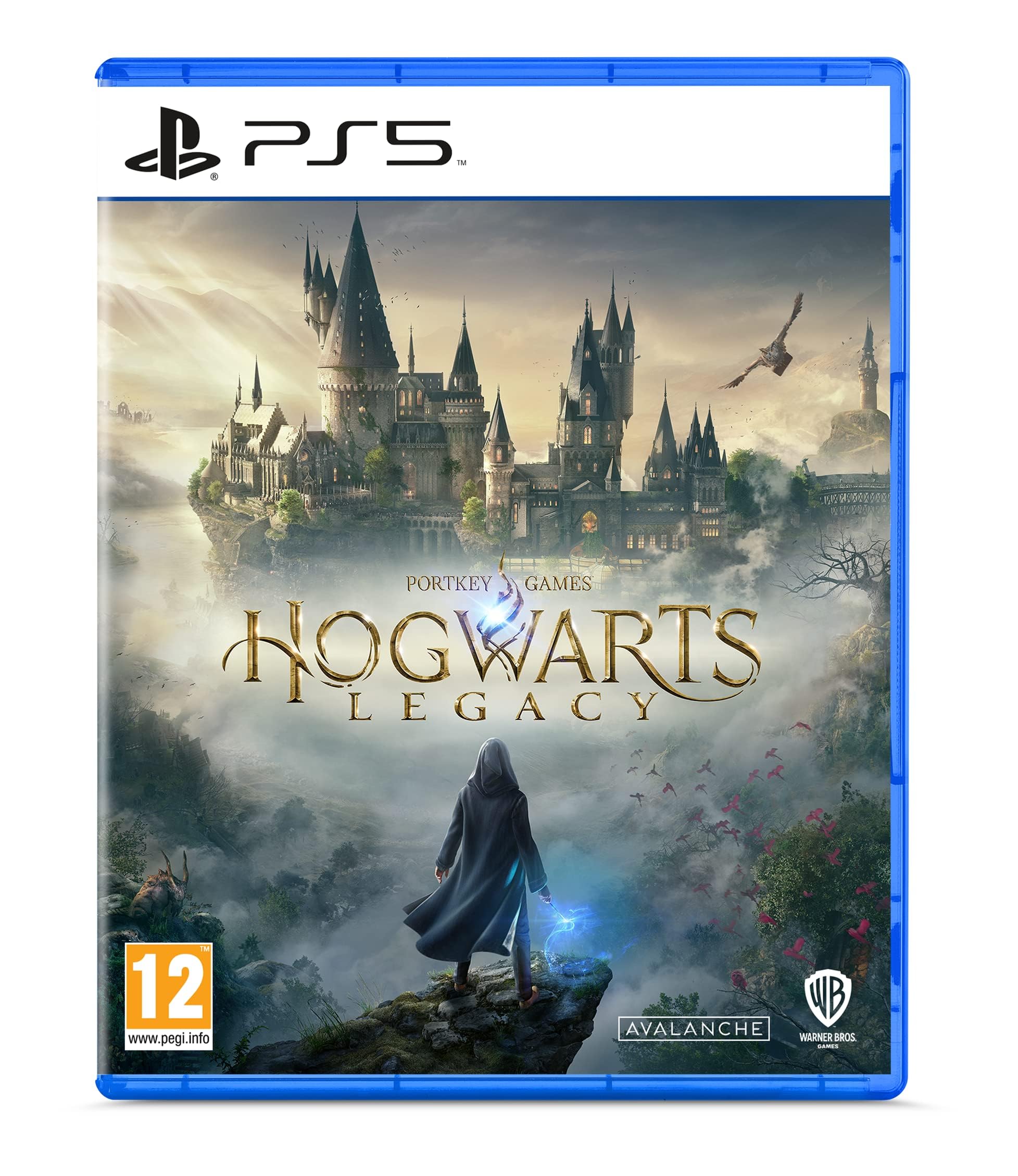 Hogwarts Legacy (PlayStation 5)