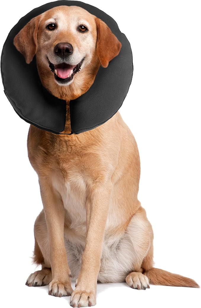Zenpet Inflatable Recovery Collar