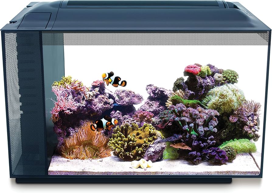 Fluval Evo Saltwater All in One Kit 52 Litre Aquarium