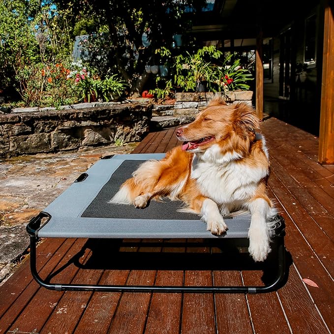 Charlie's Adventure Foldable Travel Grey Trampoline Dog Bed - X-Large