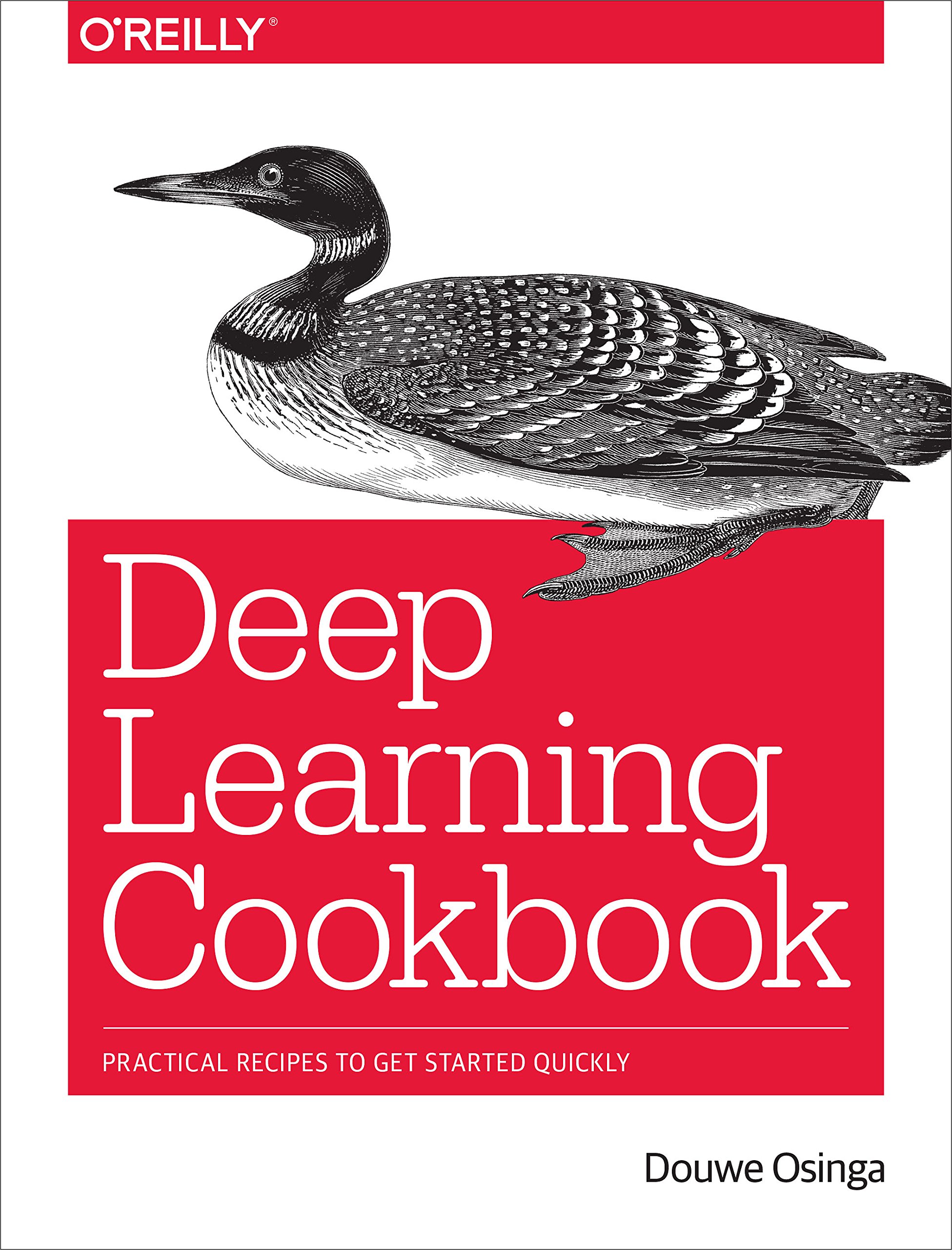 Deep Learning Cookbook By Douwe Osinga