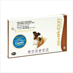 Revolution Brown 6 Pack
