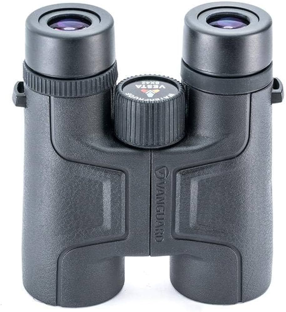 Vanguard Vesta 10x42 Binoculars (Black)