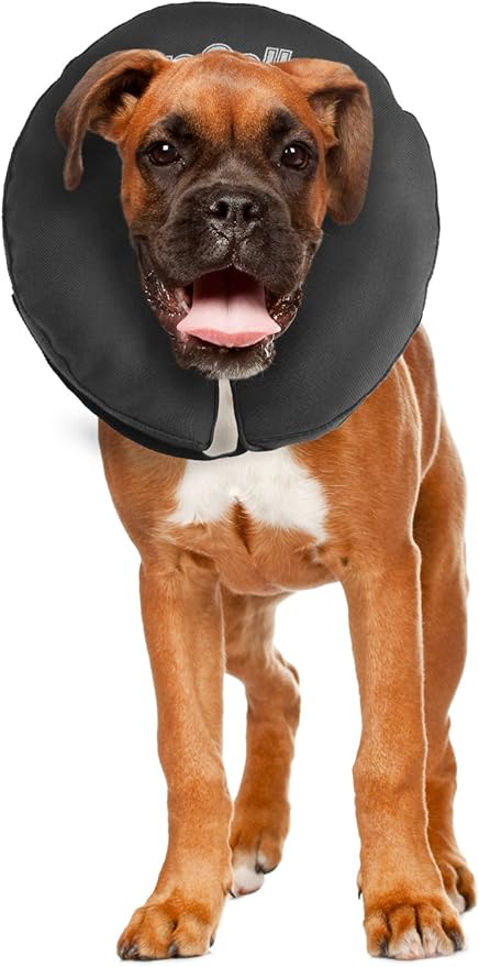 Zenpet Inflatable Recovery Collar-Large