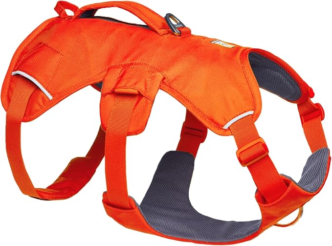 Ruffwear Web Master Harness, Basalt Gray, Large/X-Large